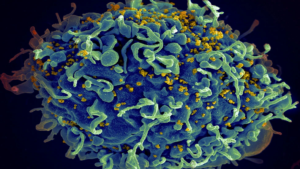 A cure for AIDS is possible? Delta 32 can wipe out immune cells vulnerable to H.I.V, says reports
