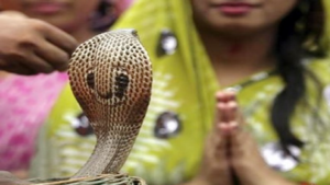 Nag Panchami 2020: Date, Shubh Muhurat and it’s significance in India