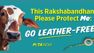 PETA’s Raksha Bandhan Campaign Stirs Controversy on Twitter