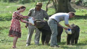 Assam floods: Prince William Writes to Kaziranga National Park director expressing concern for the animals