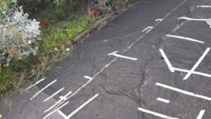 Woman In Disbelief After She Wakes Up To See Her Entire Lawn Missing From Her Garden