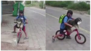 Little Boy Makes Sure His Dog’s Mask Is In Place Before The Bicycle Ride, Twitter Finds Viral Video Precious! View Video