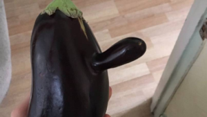 Woman Has People In Stitches After Receiving X-Rated Aubergine In Veg Box