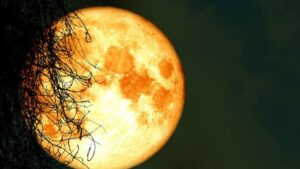 A Rare Blue Moon To Light Up The Sky On Halloween!