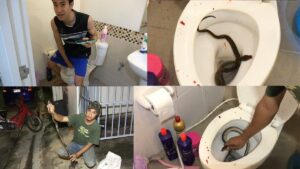 Man Rushed To Hospital After Snake Bites His Peni* While In The Toilet