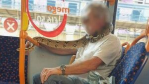 Bizarre: Man Uses Snake As Face Mask While Commuting On Bus