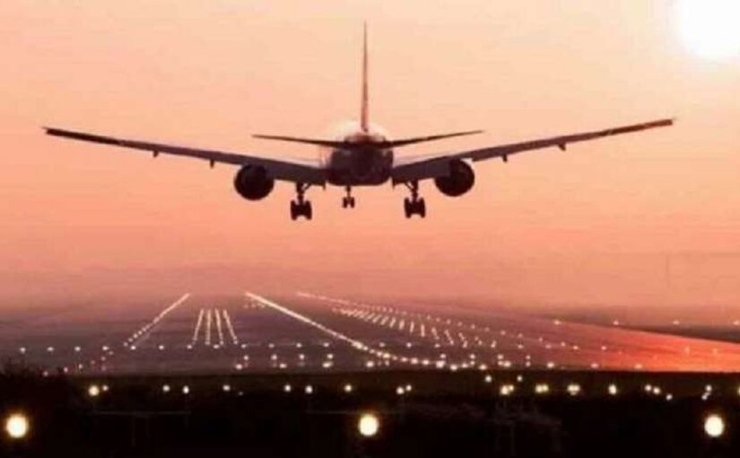 Govt bans international flights