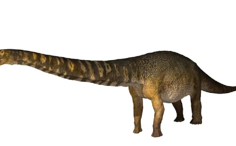 Eromanga Natural History Museum