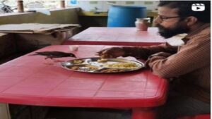 Viral Video: Man, Bird Share Food Together In This Unusual Clip