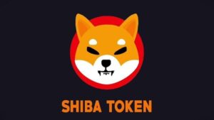 shiba-inu-coin shiba-inu-coin