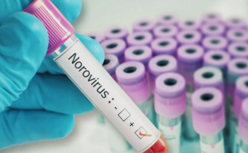 Norovirus On The Rise In U.S