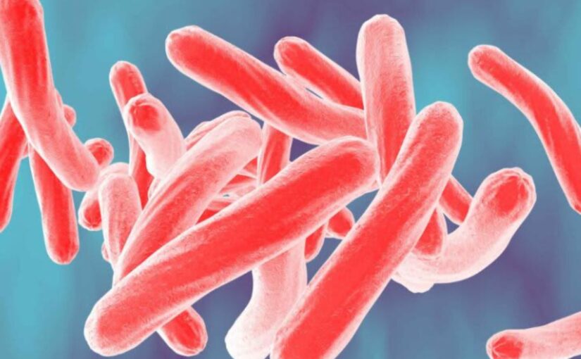 Buruli Ulcer: Flesh-Eating Bacteria Spreads Rapidly Across Australia
