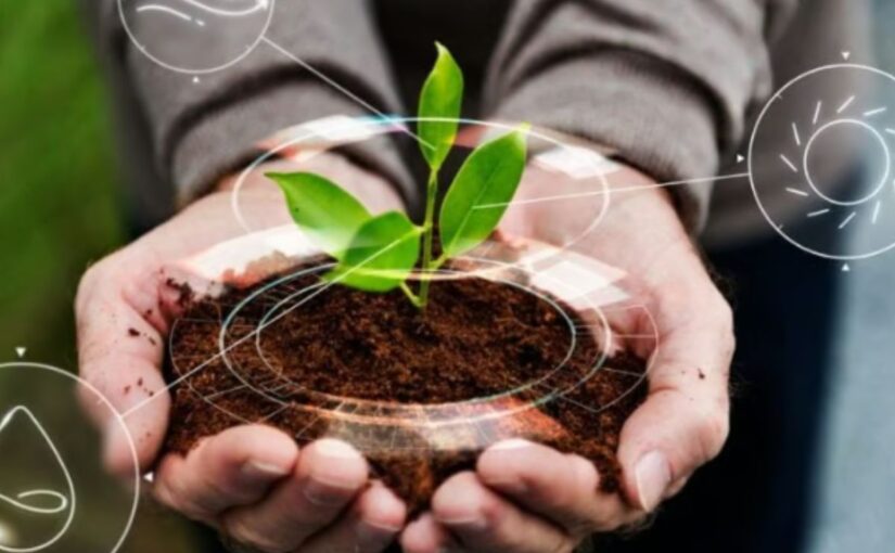 Indusfood 2025: A Game-Changer For The Global Food And Agritech Industries