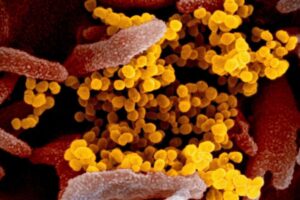 HMPV Outbreak In China: A New Health Threat You Can’t Ignore