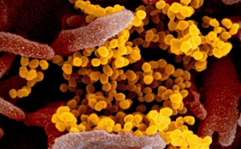 HMPV Outbreak In China: A New Health Threat