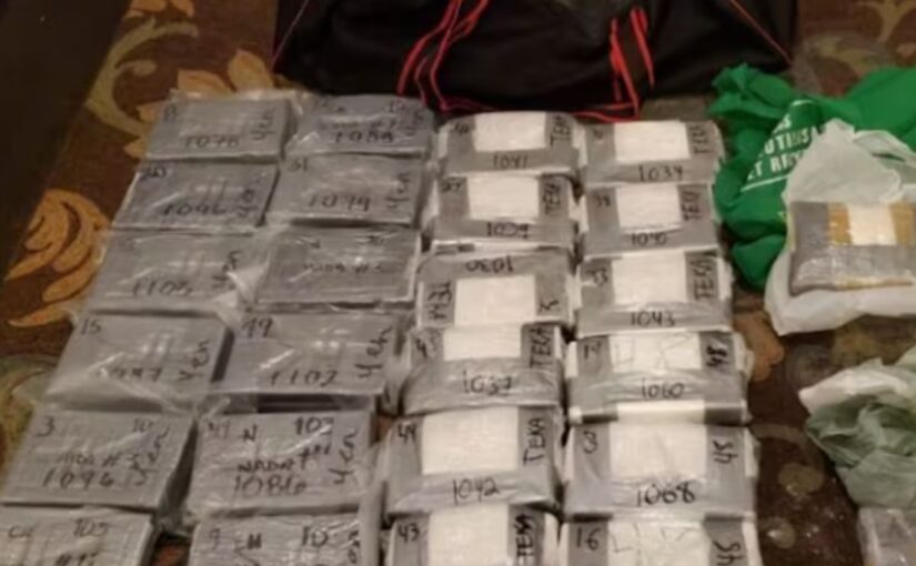 Manipur: Major Drug Seizure Foiled By Security Forces